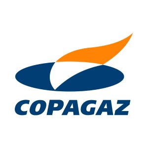 Distrigas do Purys